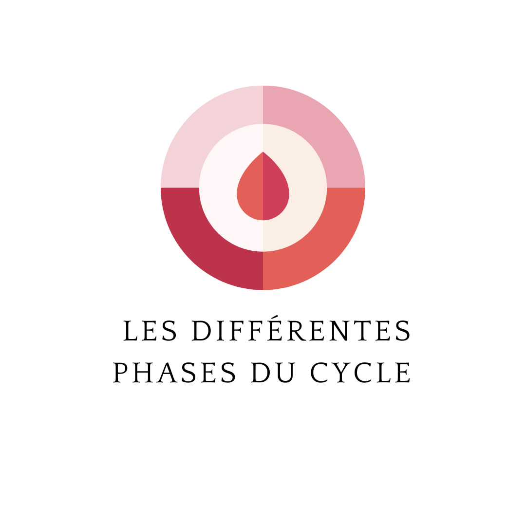 Comprendre les différentes phases du cycle