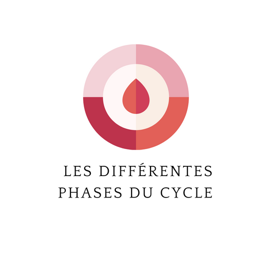 Comprendre les différentes phases du cycle